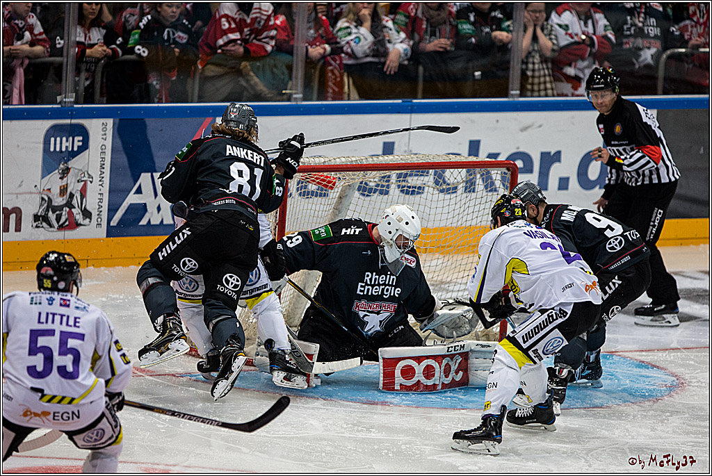 Koelner Haie - Krefelder Pinguine, 22.11.2016